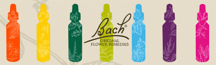 bach